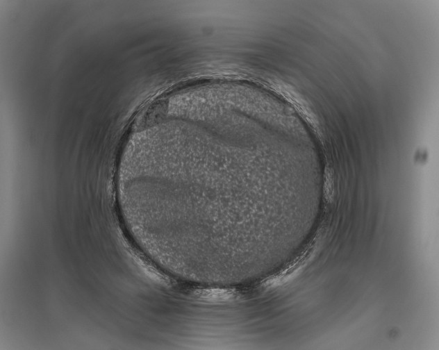 X0000097290449200802291755
