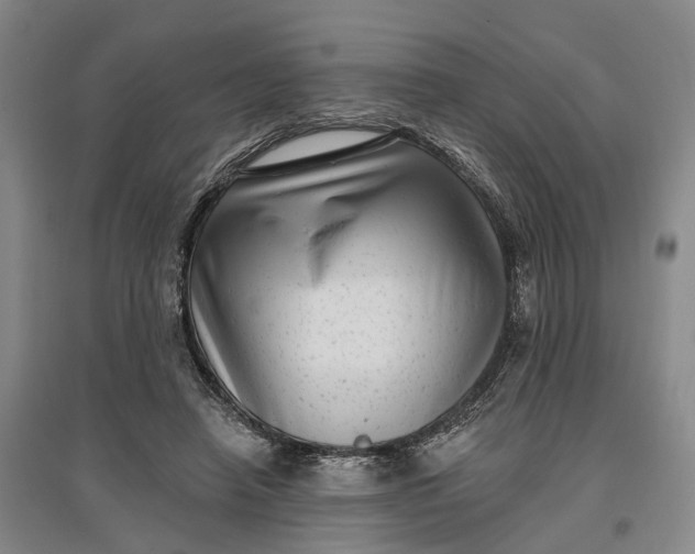 X0000097290450200802291755