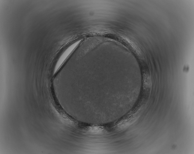X0000097290451200802291755