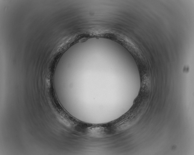 X0000097290452200802291755