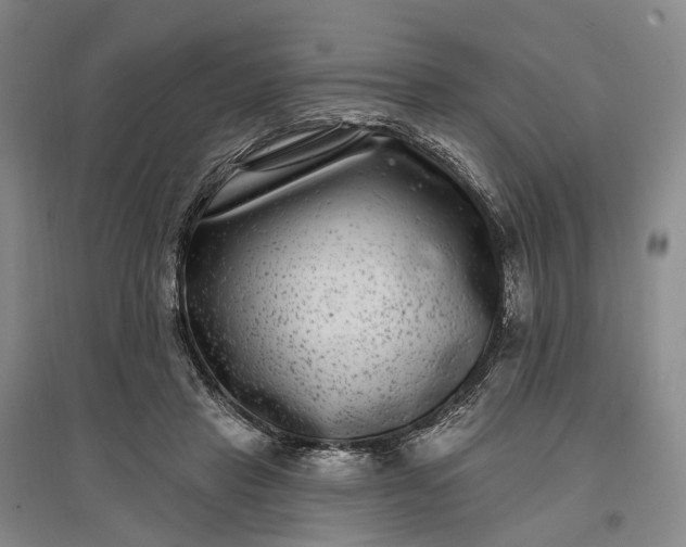 X0000097290453200802291755