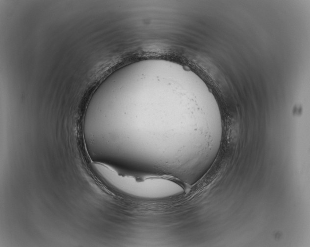 X0000097290455200802291755