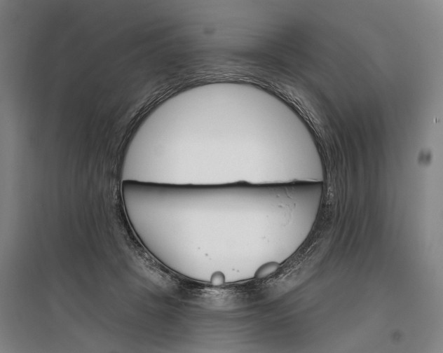 X0000097290457200802291755