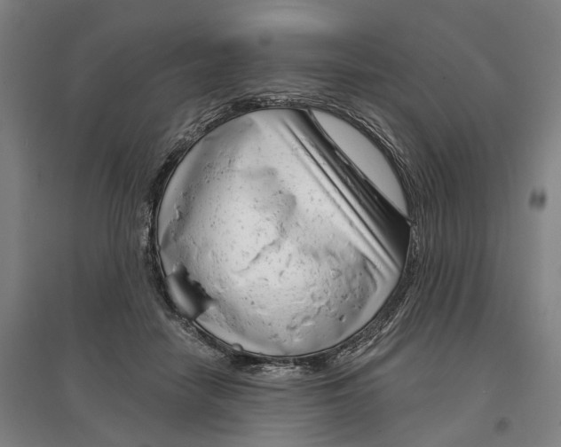 X0000097290458200802291755