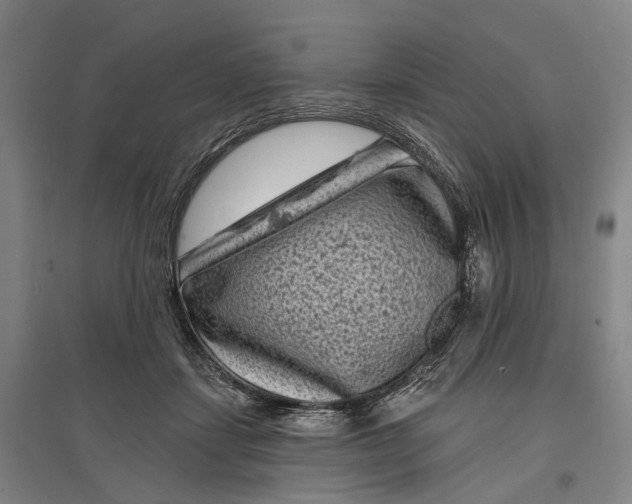 X0000097290459200802291755