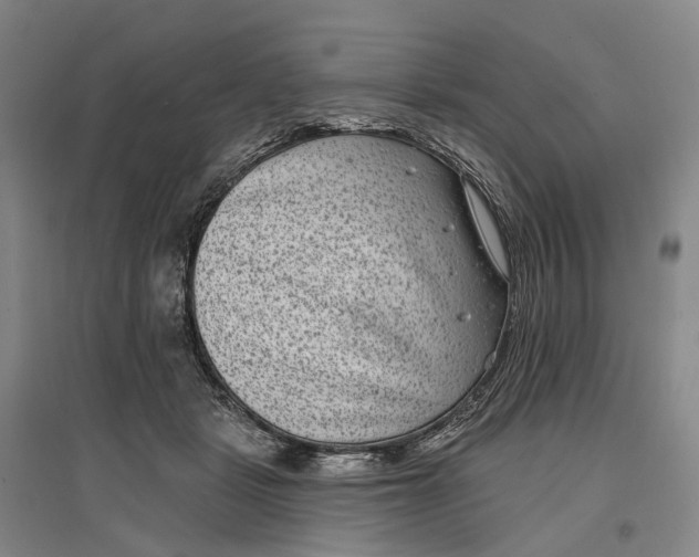 X0000097290461200802291755