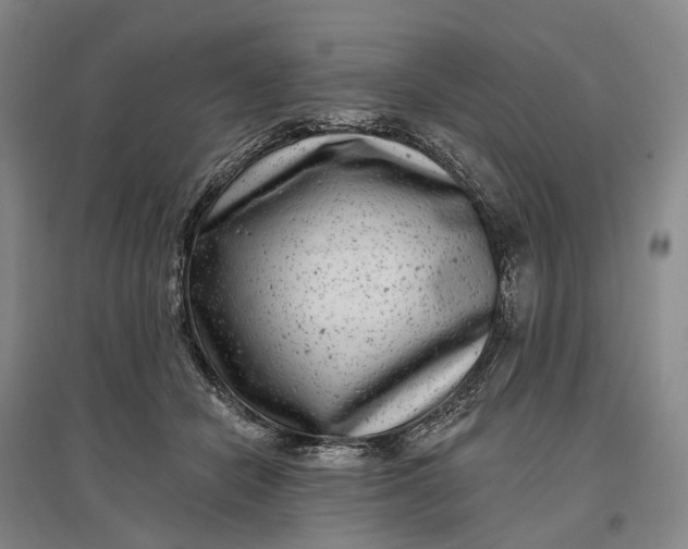 X0000097290462200802291755