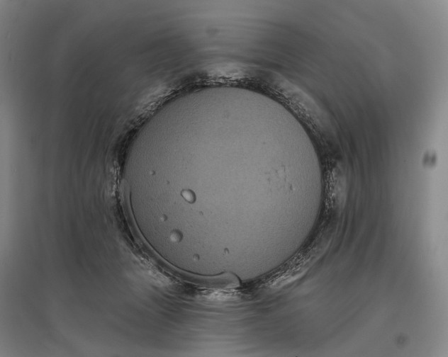 X0000097290463200802291755