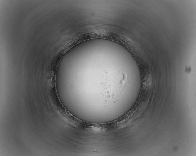 X0000097290464200802291755