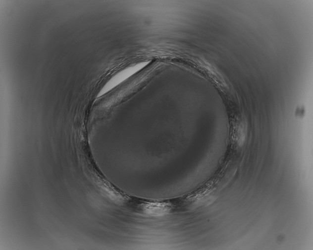 X0000097290465200802291755