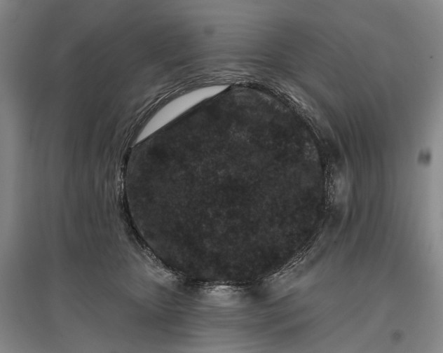 X0000097290467200802291755