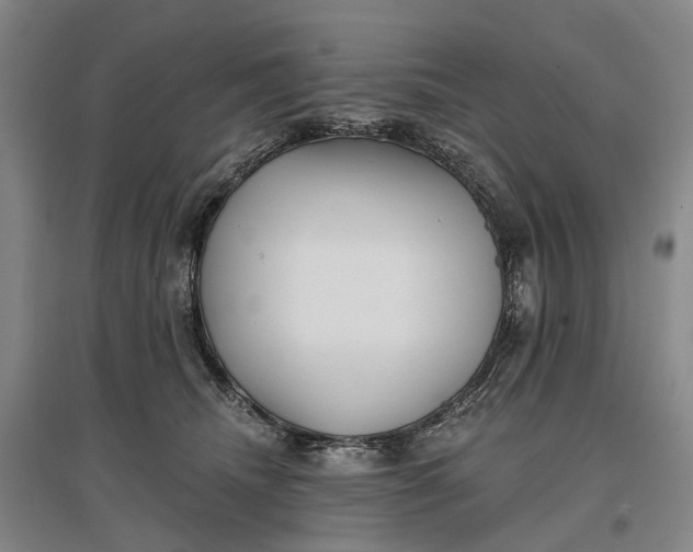X0000097290468200802291755