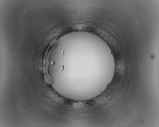 X0000097290470200802291755