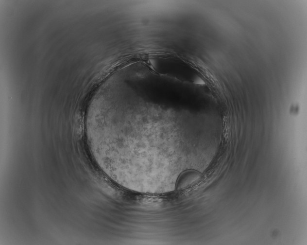 X0000097290471200802291755