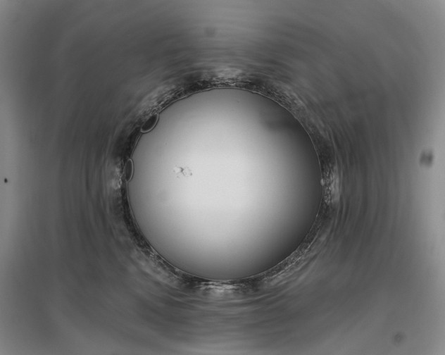 X0000097290472200802291755