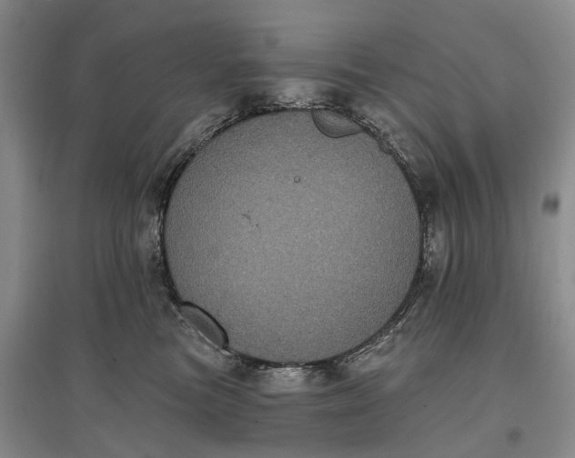 X0000097290473200802291755