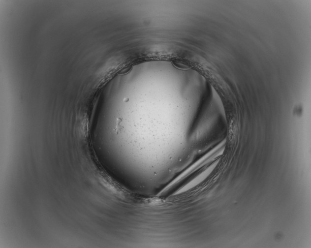 X0000097290474200802291755