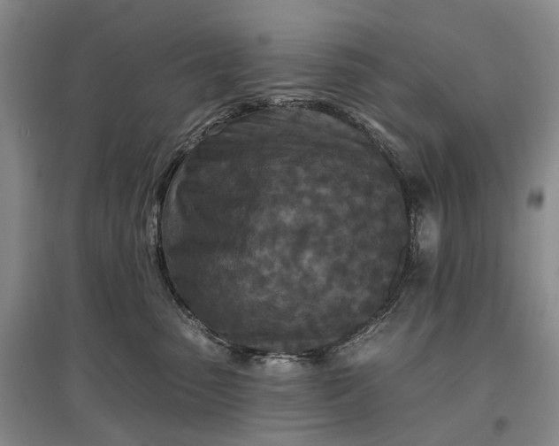 X0000097290475200802291755