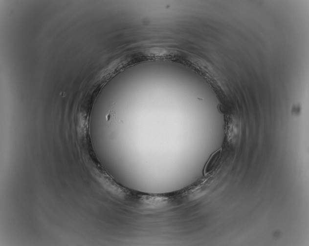 X0000097290476200802291755