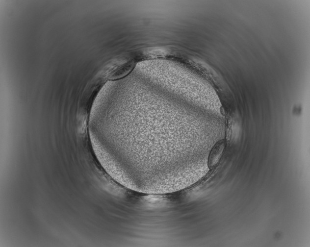 X0000097290477200802291755