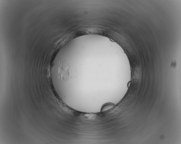 X0000097290478200802291755