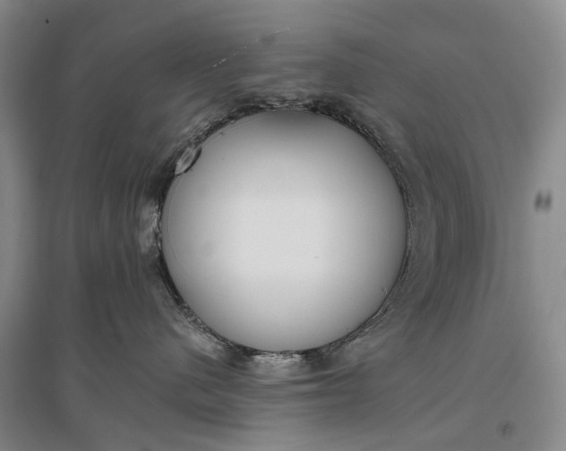 X0000097290480200802291755