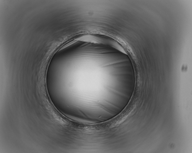 X0000097290481200802291754