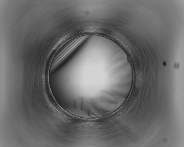 X0000097290482200802291754