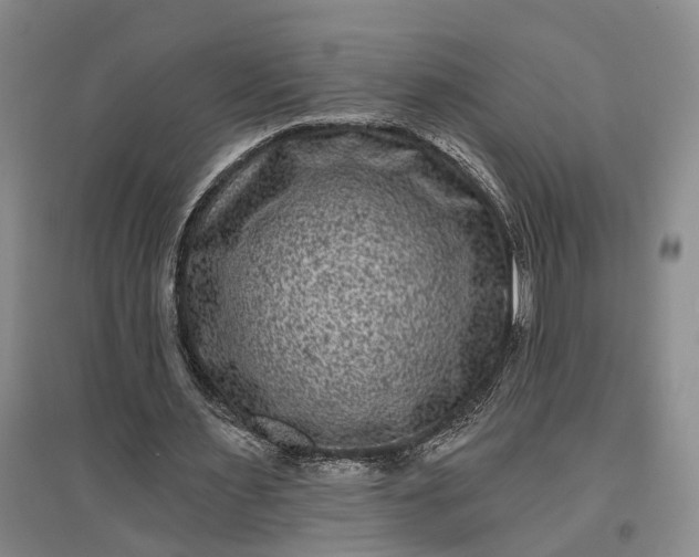 X0000097290483200802291754