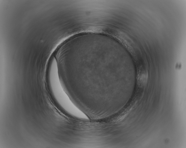 X0000097290484200802291754