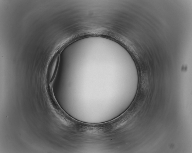 X0000097290486200802291754