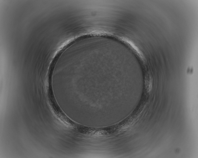 X0000097290488200802291754