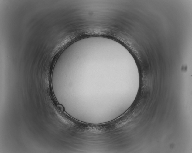 X0000097290489200802291754