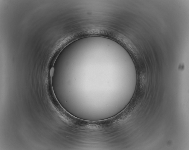 X0000097290490200802291754