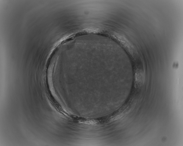 X0000097290492200802291754