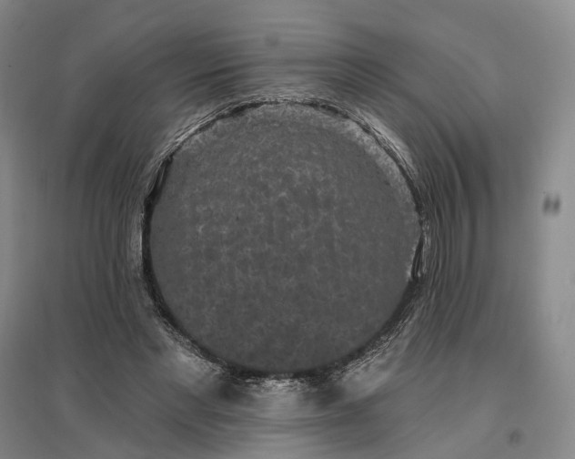 X0000097290493200802291754