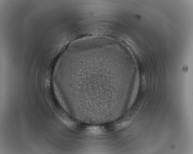 X0000097290499200802291754