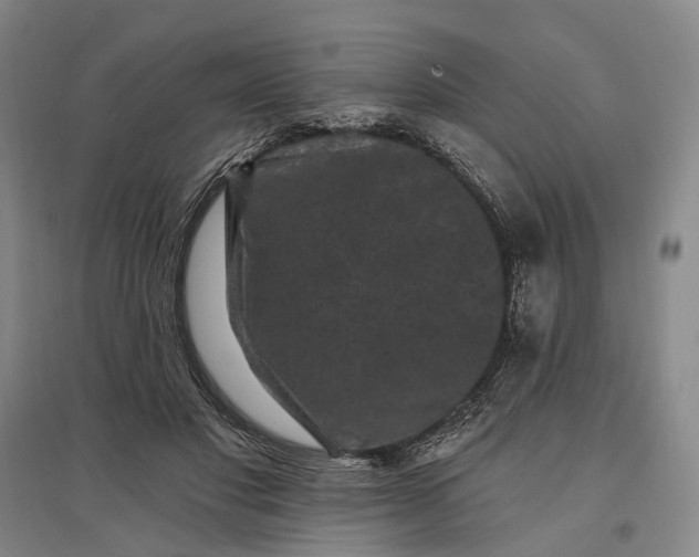 X0000097290501200802291754