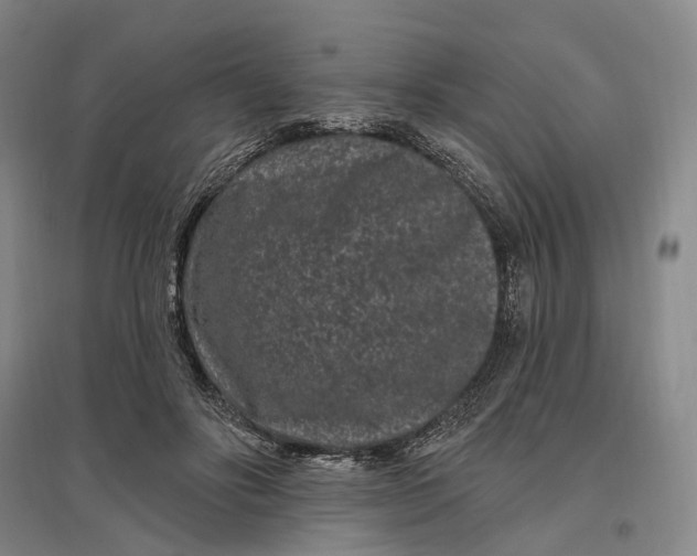 X0000097290502200802291754