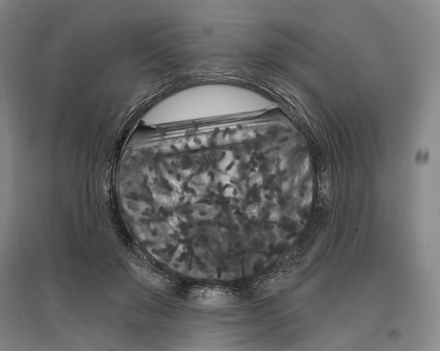 X0000097290503200802291754