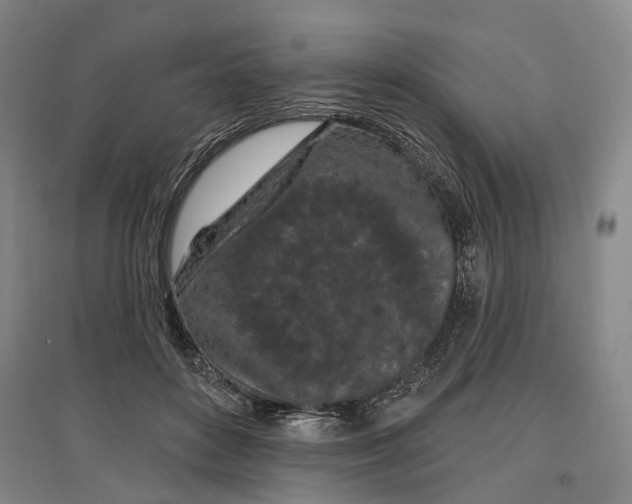 X0000097290504200802291754