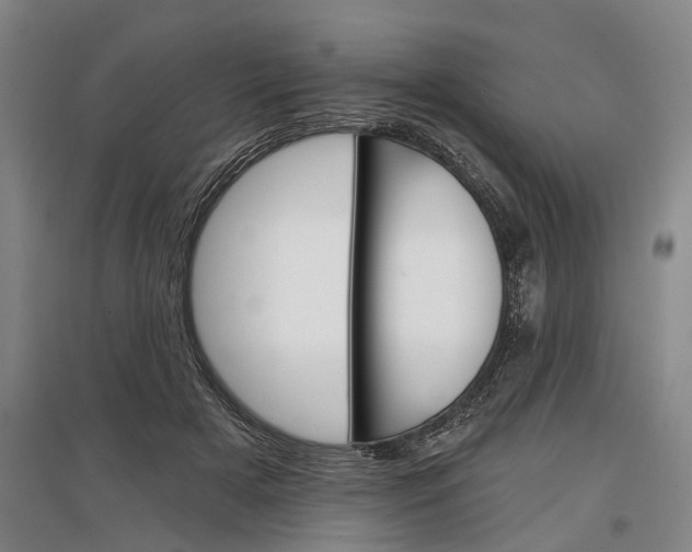 X0000097290505200802291754