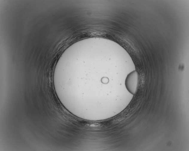 X0000097290506200802291754