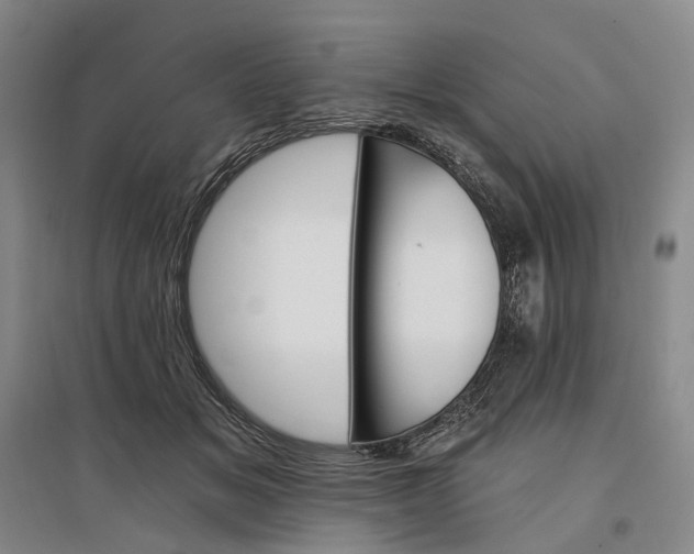 X0000097290509200802291754