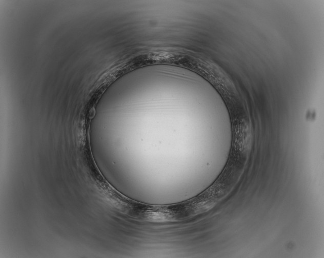 X0000097290510200802291754