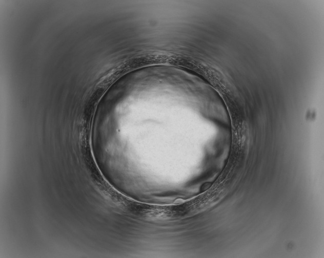 X0000097290511200802291754