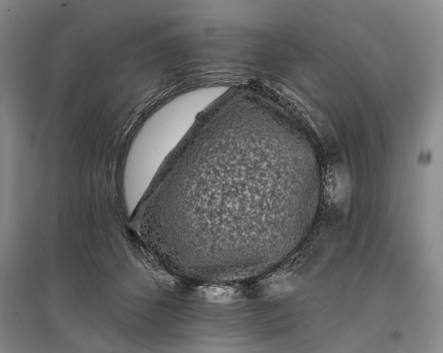 X0000097290512200802291754