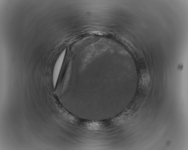 X0000097290513200802291754