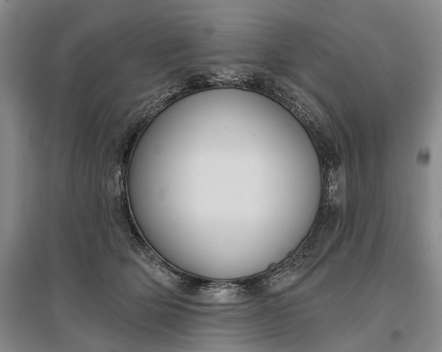 X0000097290514200802291754