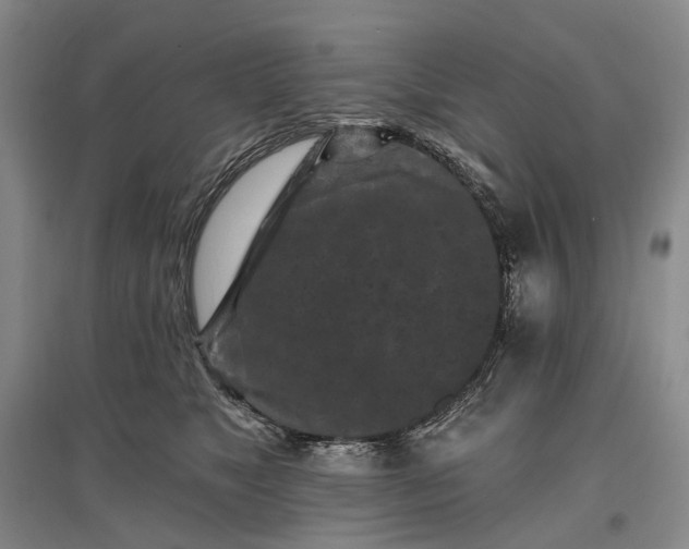 X0000097290517200802291754